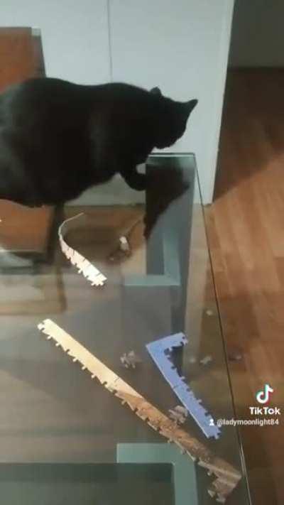 This is why we can't do puzzles