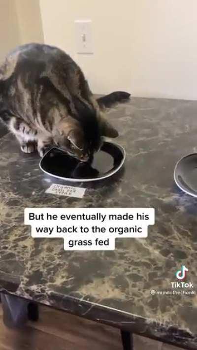 Milo only eat expensive steak and need to cleanse his pallete using evian water, im crying lol