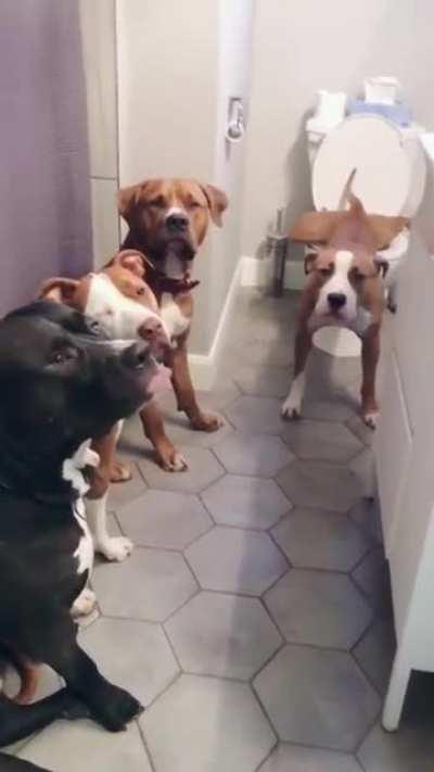 The reason I'm always late for work