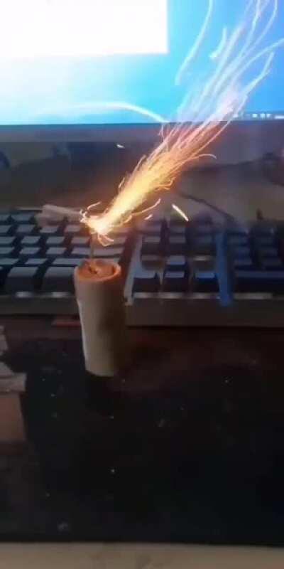 happy Lunar New Year