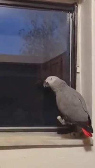 The government drones are really trying hard today.