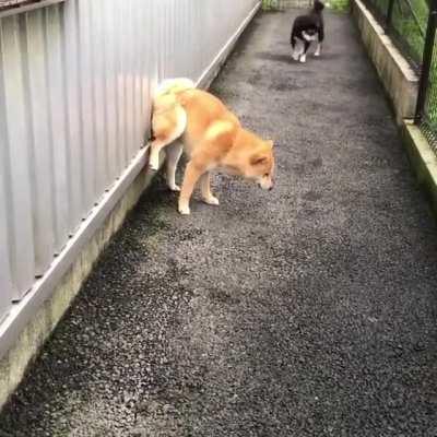 Заминированно!