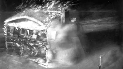 Humans what the fuck have you been doing