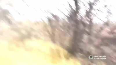 Two horses that had been roaming the ruins of Avdiivka since the spring of 2023 were rescued.