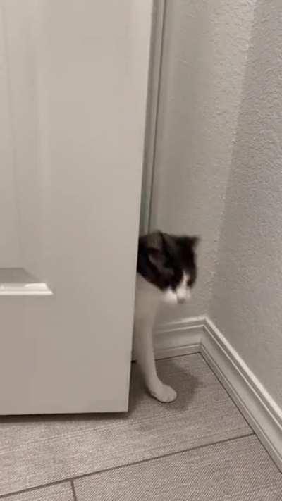 If you can’t enter a room dramatically, is it worth entering at all?