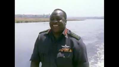 average palestine supporter