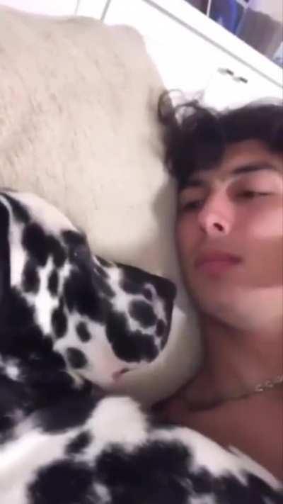 A dog and its owner having a time together.