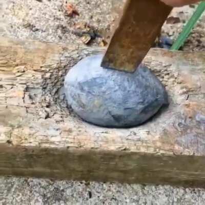 🔥 A real Jurassic stone with a beautiful ammonite inside 🔥