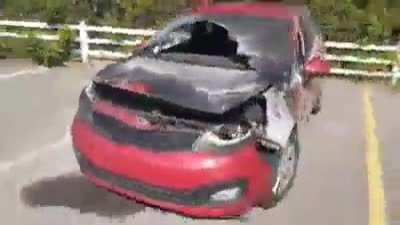 Tunoight on bottom geah