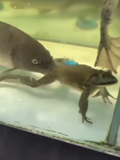 Bro stood there and took it like a champ.