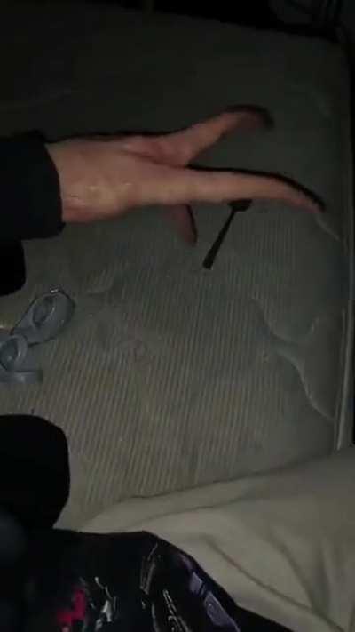 Wordingtonian expresses his love for rusty spoons!😊