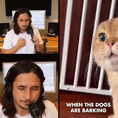 Another amazing human cat duet