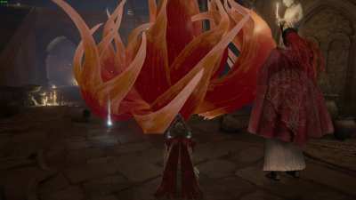 Malenia found me outside her arena, is this normal?