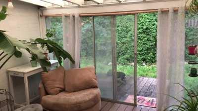 Love the sound the rain makes on my sunroom roof