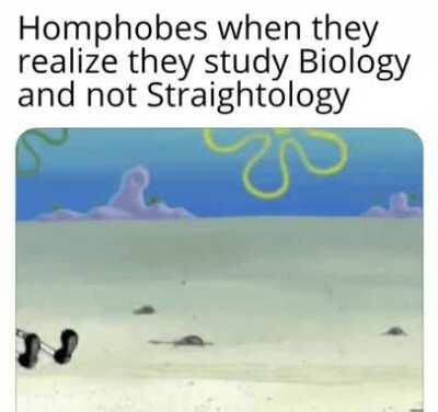 Idk what to put here