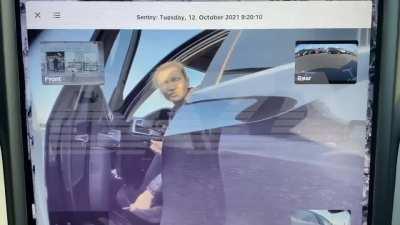 Тупая шмара криво поставила свой тарантас и винит всех кроме себя самой. Кого-то даже поцарапала. Теслу. С камерами.