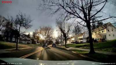 [VIOFO 229 PRO] Bambi almost ruined my morning.