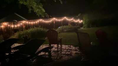 Rain + Cicadas in Maryland.