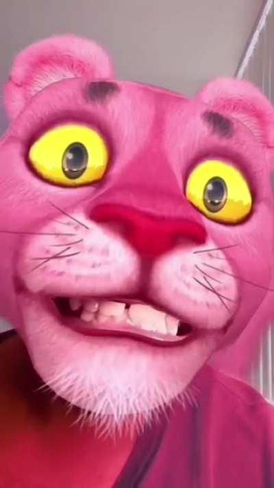 one of them cool cats