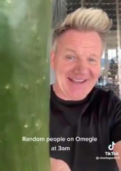 Omegle In a nutshell