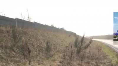 pAlINdRomE iS aBoUT To cRoSs A roAd