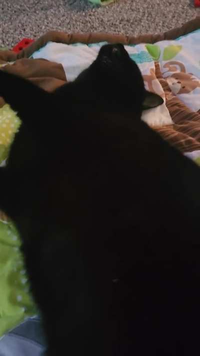 Scrungle Singing Along