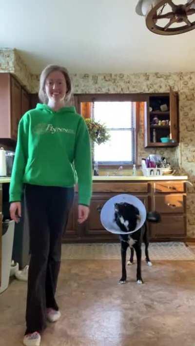 You dance, I dance too.