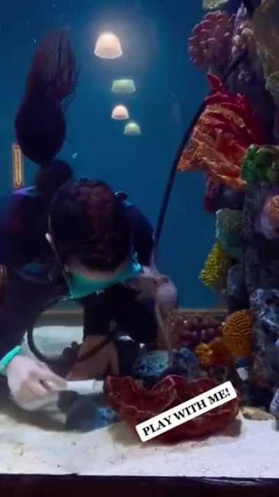 I feared Octopus, until seeing this