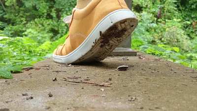 My favorite single snail crush of 2024