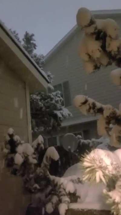 Almost April and expecting 12 inches, 30 centimeters in the next 48 hours here in Montana