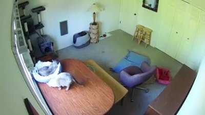 Oh, were you sleeping here?