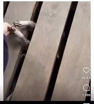 Some real silent hill stuff.