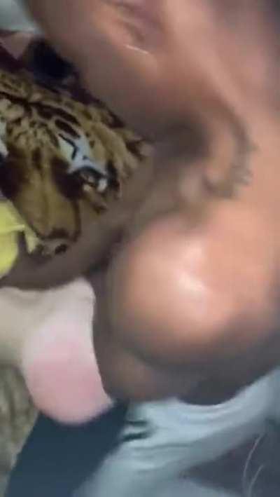 College slut, bbc slut