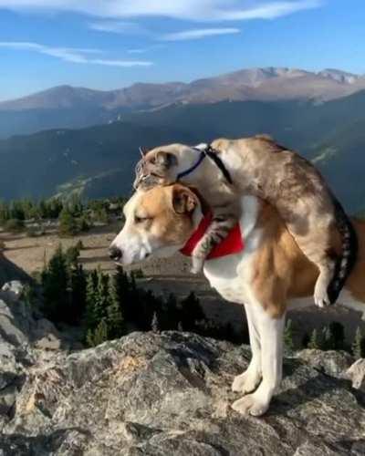 Mountain Climbing Buddies 🥰