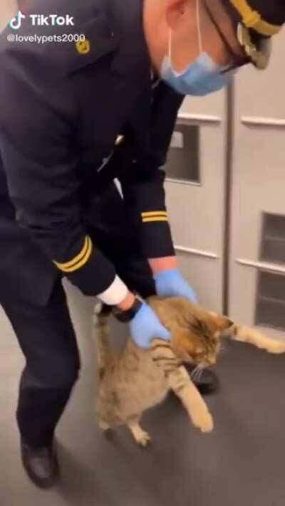 Kitty caught without ticket