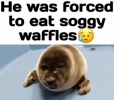 how could they??.... 😰😭🤣😪