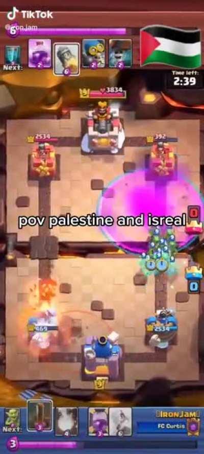 pov Palestine and Israel