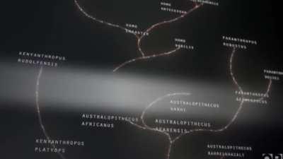 Back to the stone age