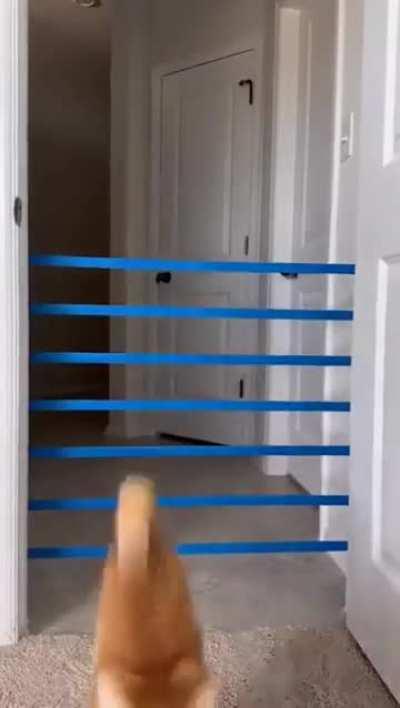 The moment where he calculates 😂😂