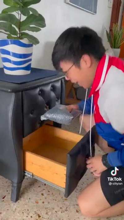 Thanks, I hate Tik Tok idiots