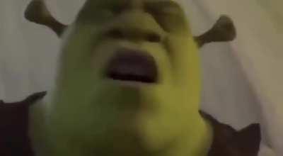 Cursed_shrek