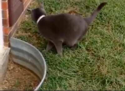 Where could he have gone...