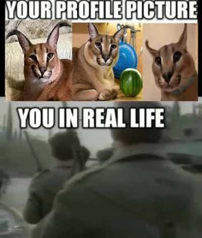 All serbs on social media