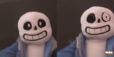 i introduce to you, the sans duo