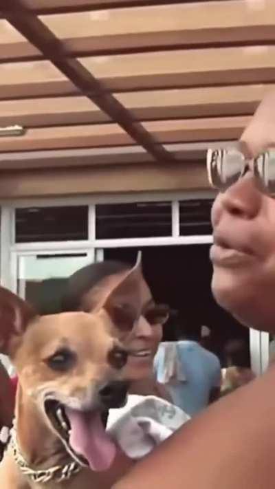 Salvador é maluquice! 🤣