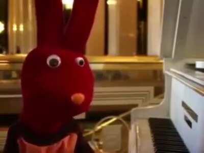 No entendí un carajo