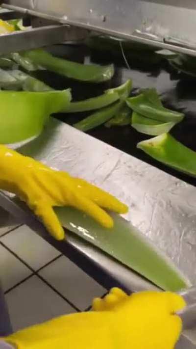 The way aloe vera products are made...🤤