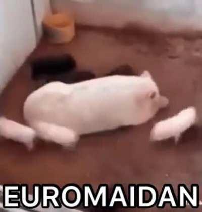 Kto ne skachet tot moskal