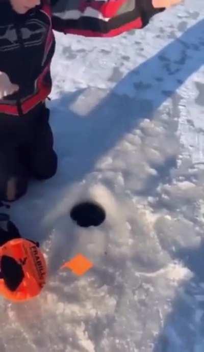 No fish for you! Now starve