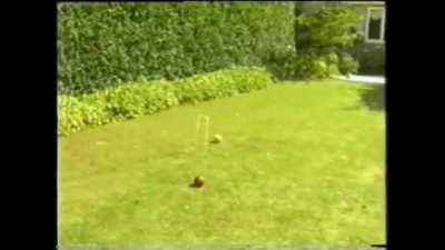 Nude Croquet: (Parafotos Films: Naturism UK) 1995